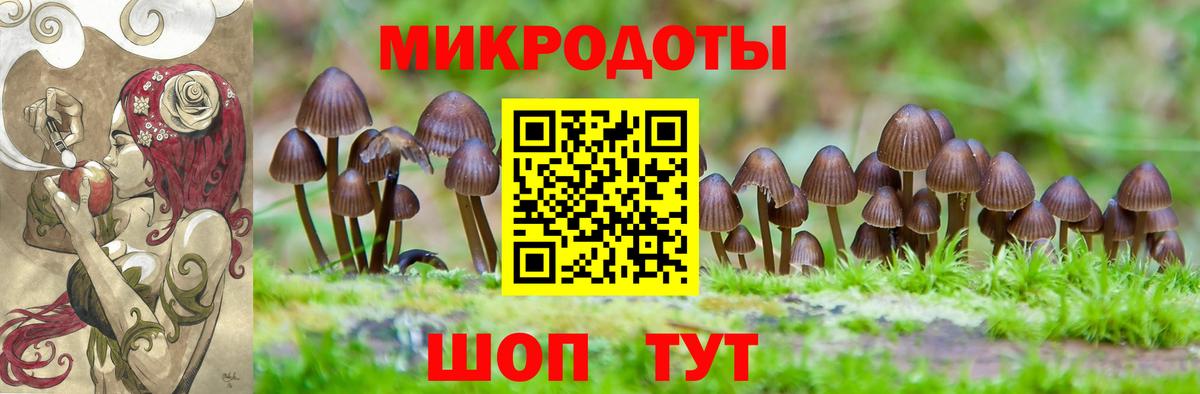 Псилоцибиновые грибы мицелий Алатырь