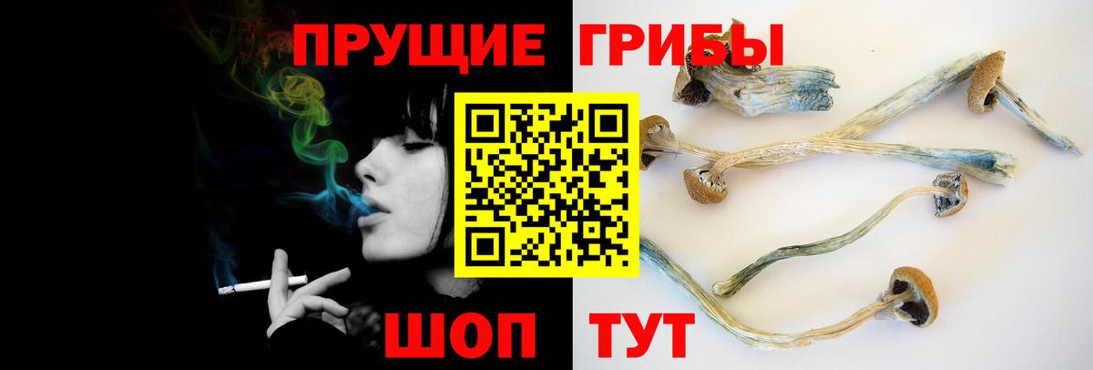 закладки  Галлюциногенные грибы мицелий  Вход с VPN  Алатырь 